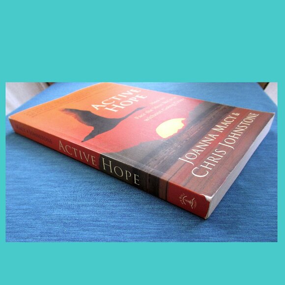 Book - Active Hope: How to Face the Mess We're in Without Going Crazy - Picture 14 of 16